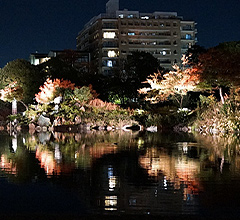 渉成園 夜間特別拝観